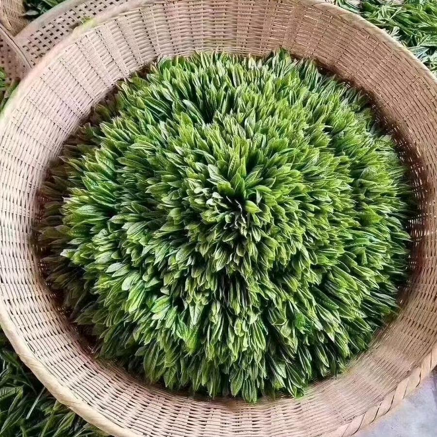 硒里糊涂