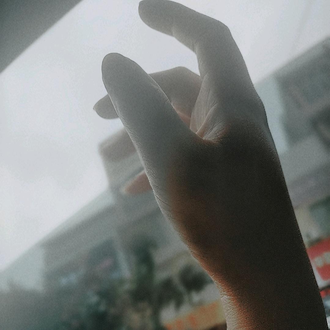 ღ 满目✨星何✨