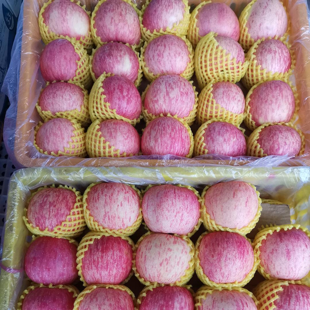 小小黄水果超市