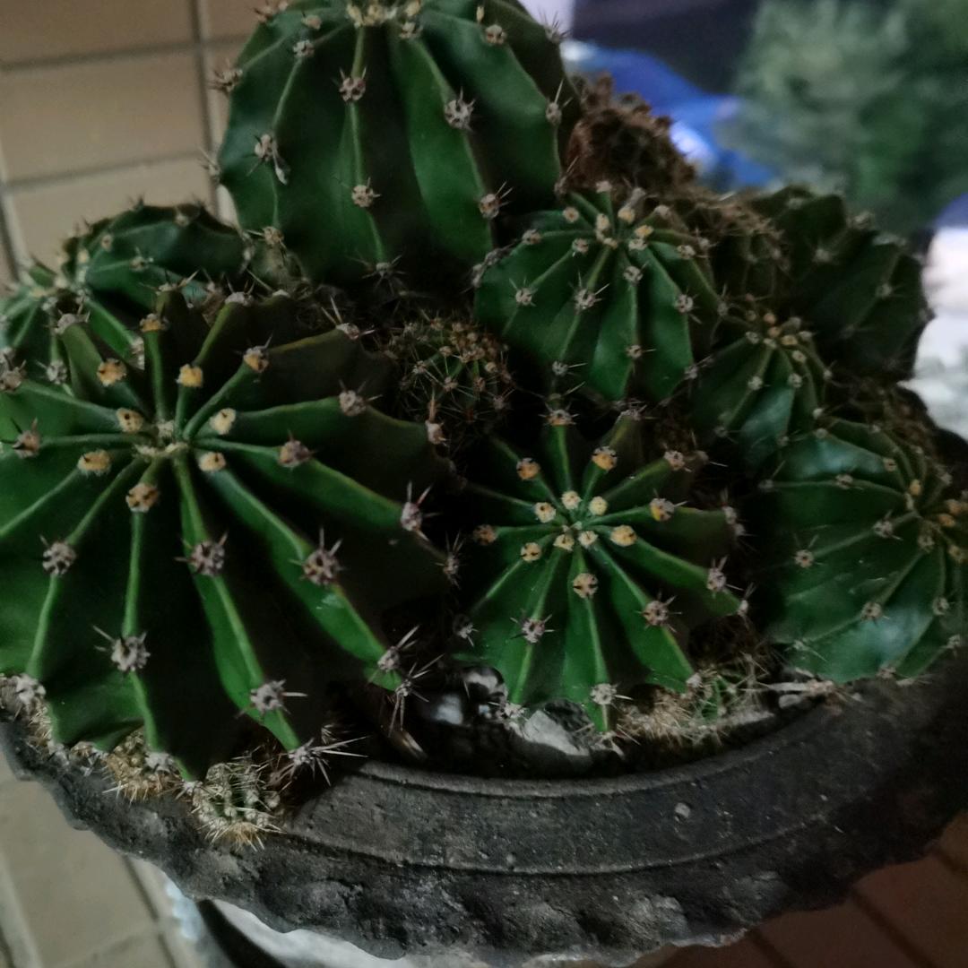 🌈🌈心烦🌈🌈