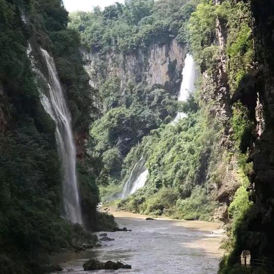 萍丽