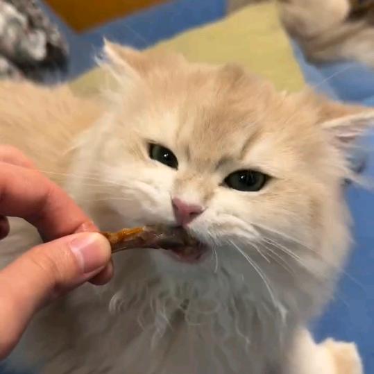 抱抱