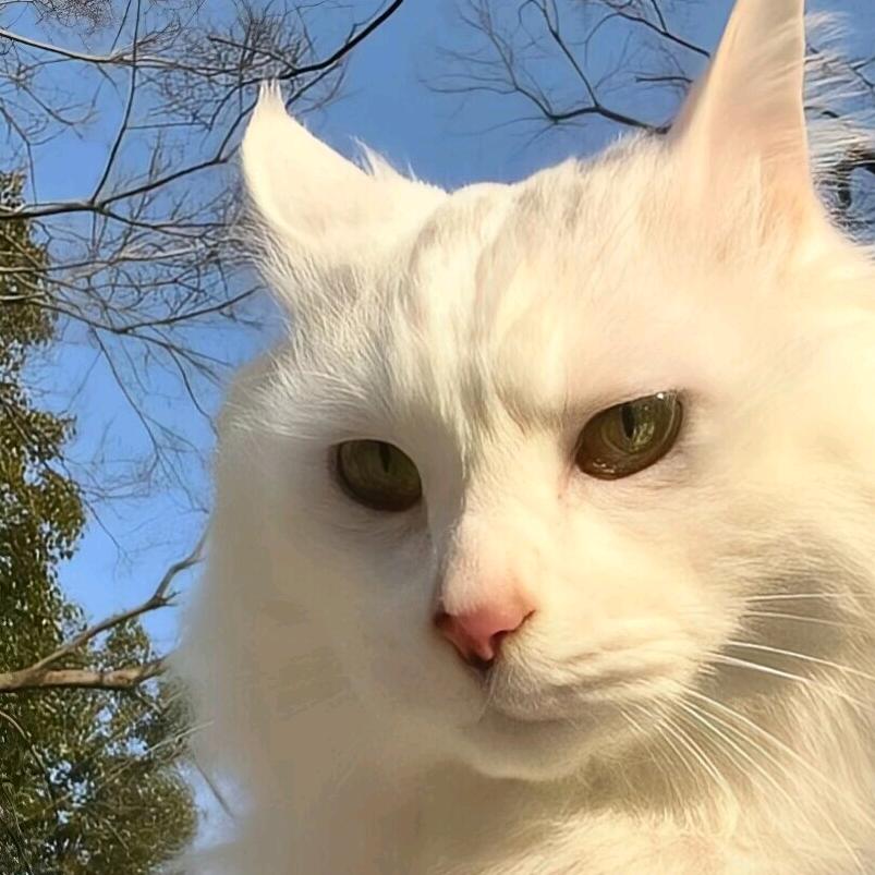 大a的钱是赚不完的