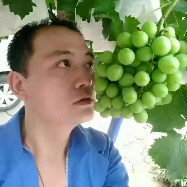 山东兰花养殖交流