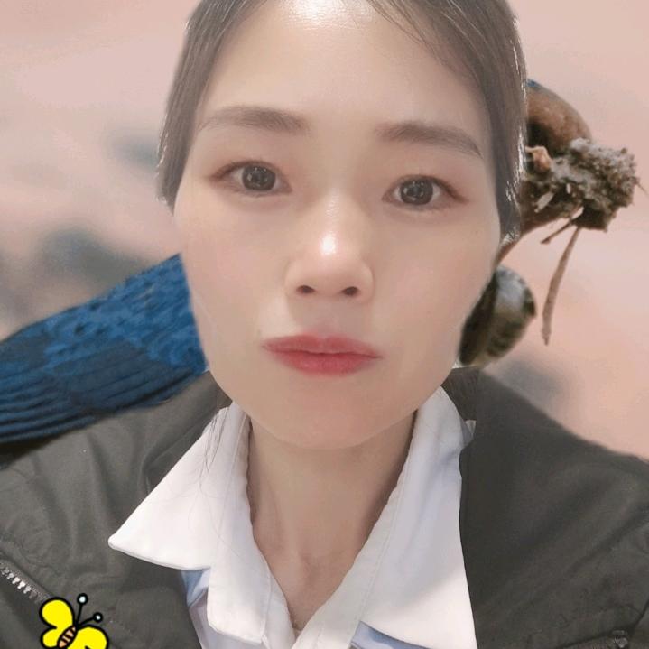从头来过