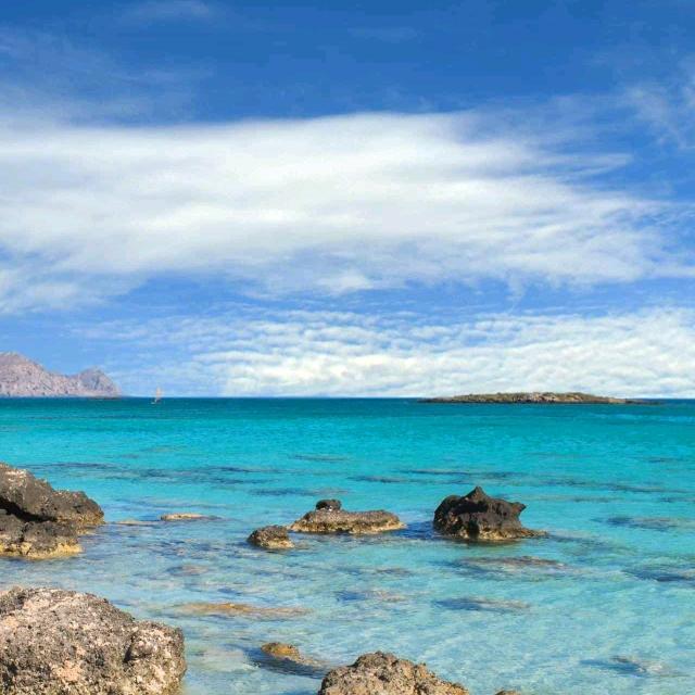 夏天的太阳🌸🌸🌸