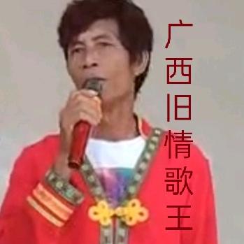 广西旧情歌王(团队招人)