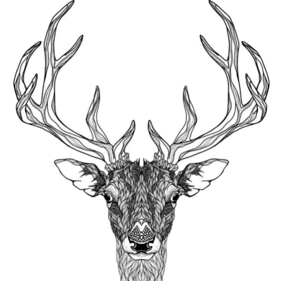 扬州装修专业团队