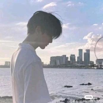 张什么徽