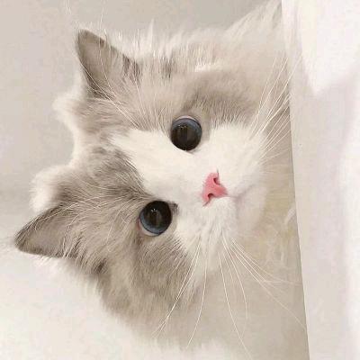 云梦