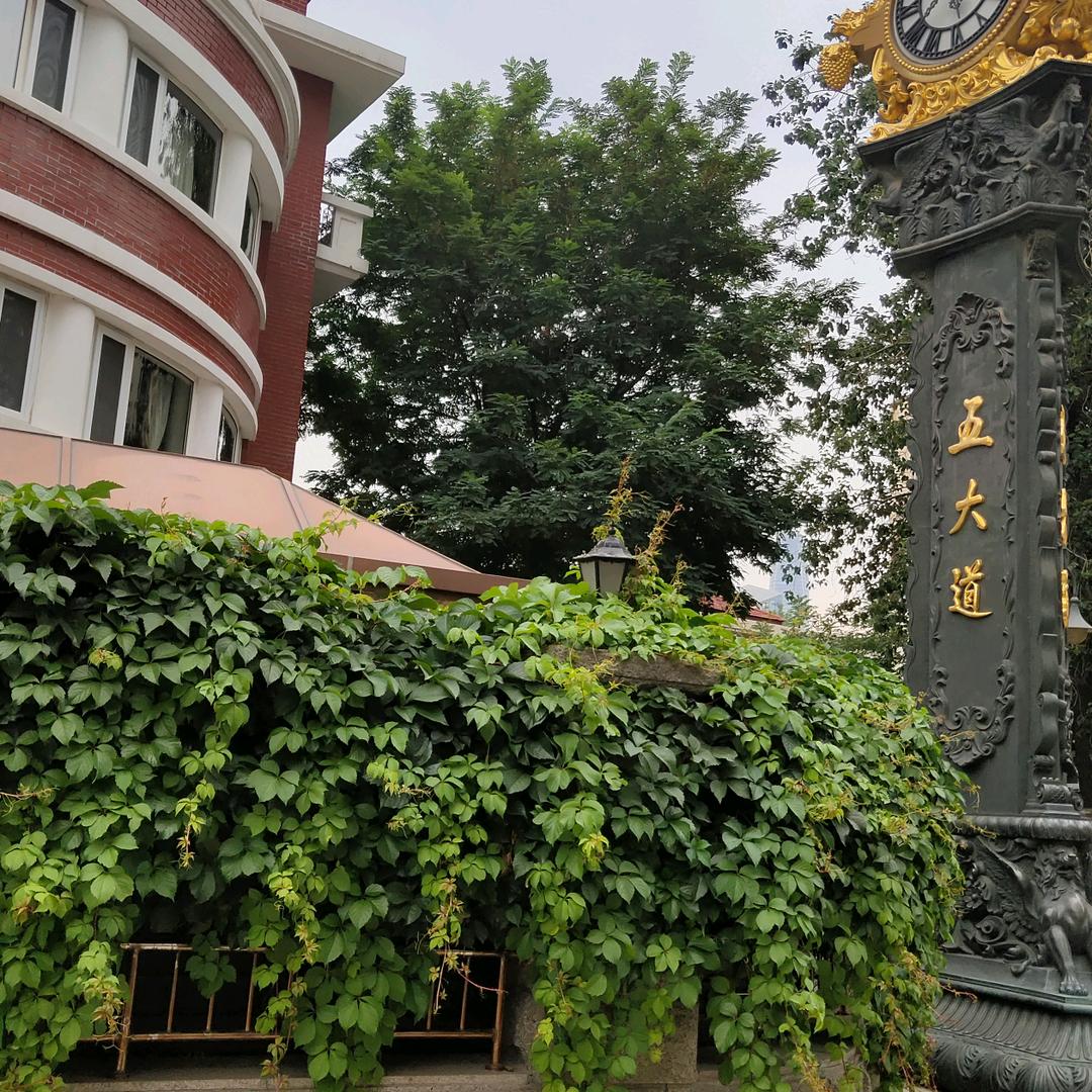 董奶奶