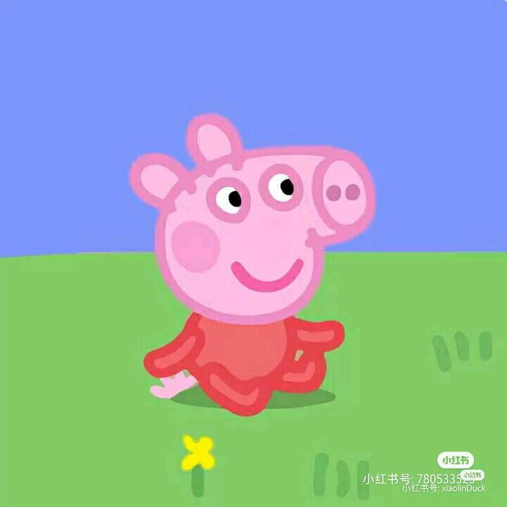 🌈🌈蠢钝如猪🌈🌈