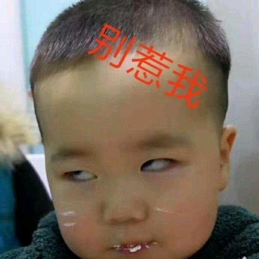 不会游泳的鱼