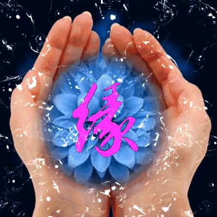 且听风吟