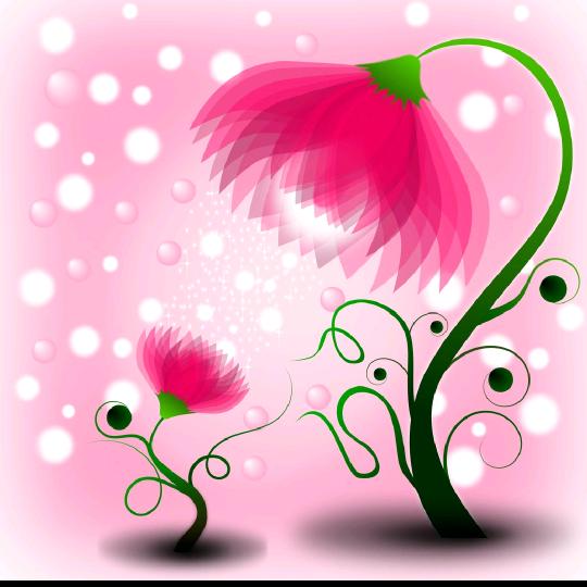 一叶一世界，乾坤定江山