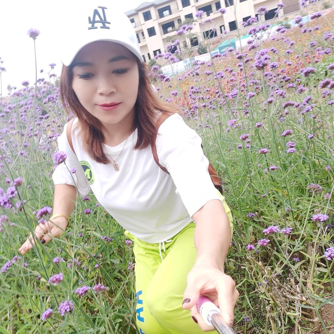 向阳花农膜