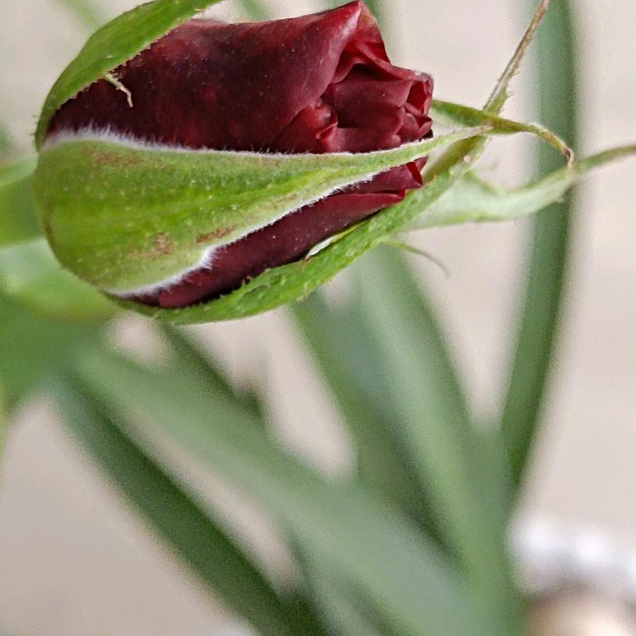 走自己的路，让别人说去吧