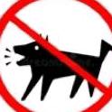 no barking