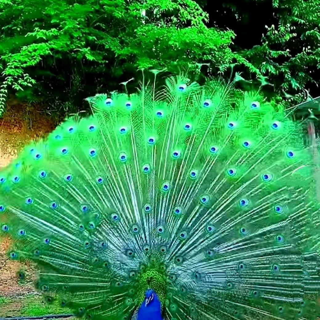 泸潇
