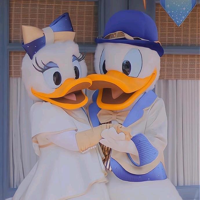 🍬 ᩚ奶猫小财迷 ʚ✞ɞ