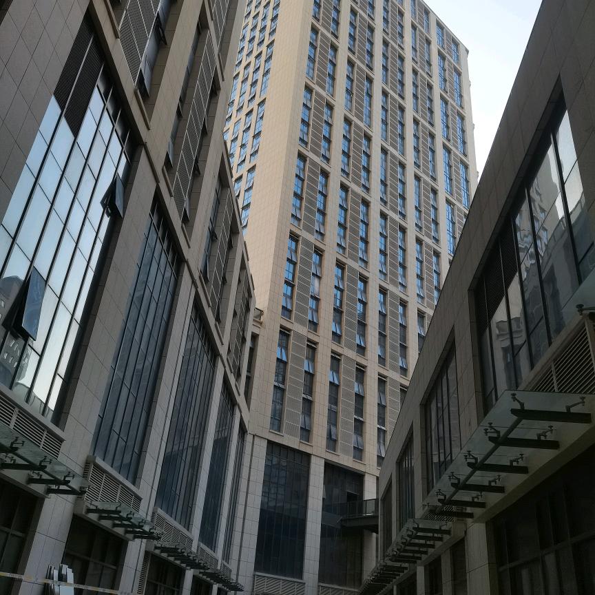 长年出售各种果树战地树，柏树，和红薯苗