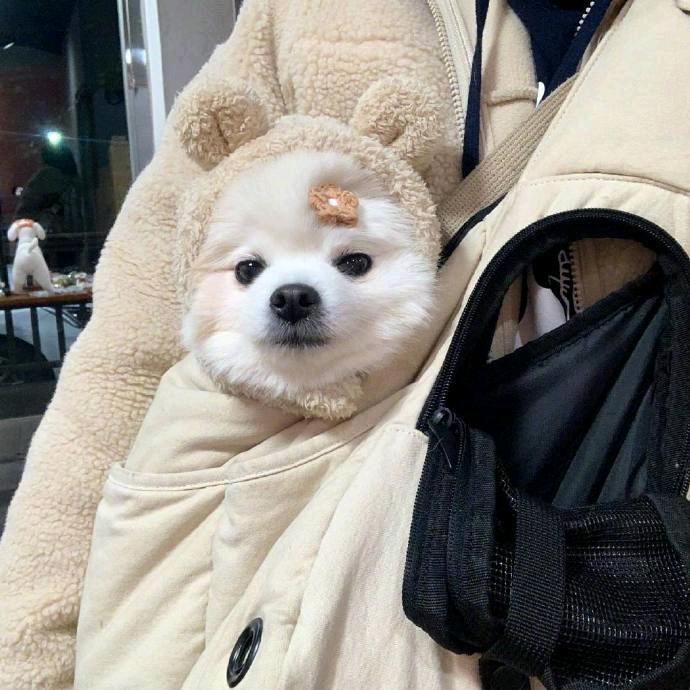 塞巴斯蒂安没有玫瑰