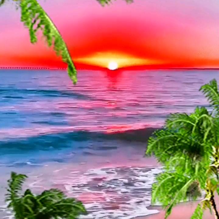 唔悦，🎄🎄🎄🎄