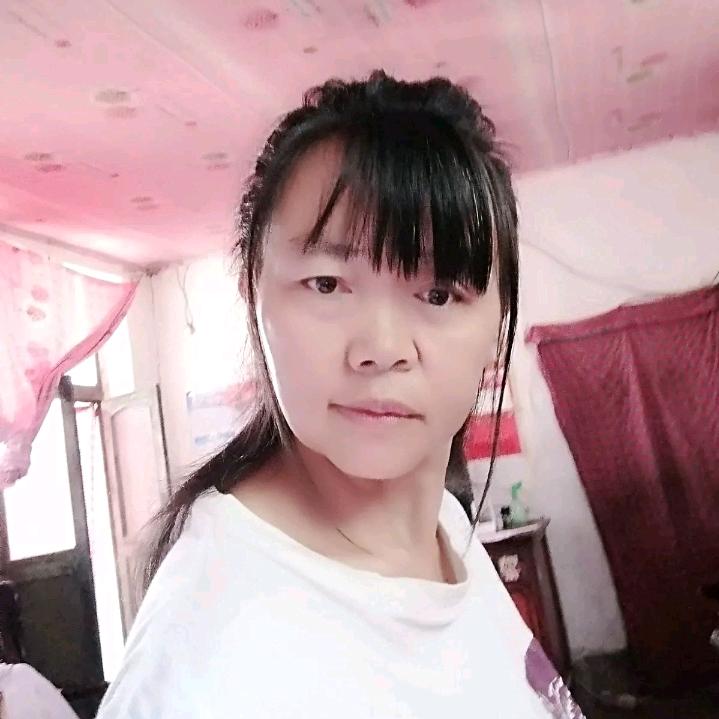 飞翔的凤凰