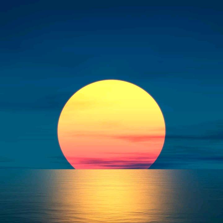 惜惜