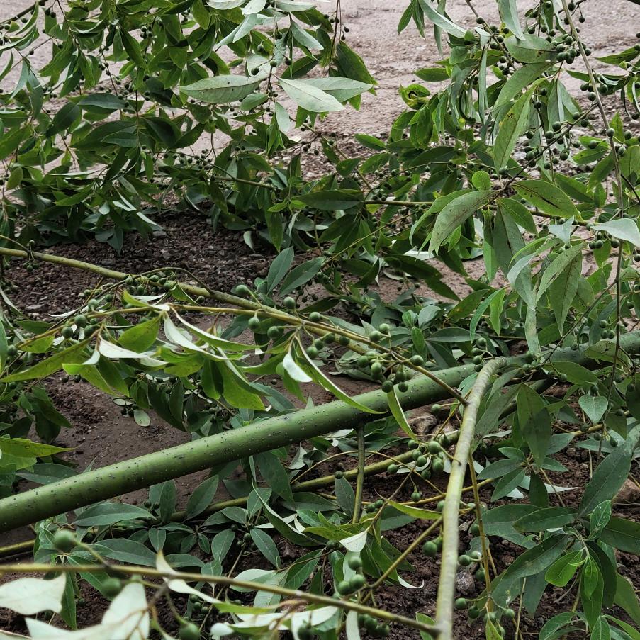 故事太长太心酸