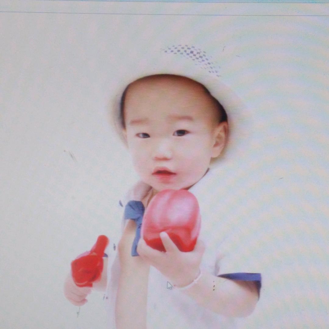 全网脑袋最木的人