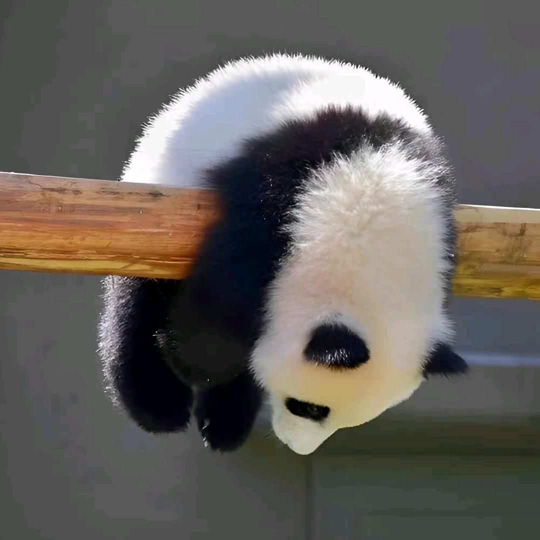 故深离