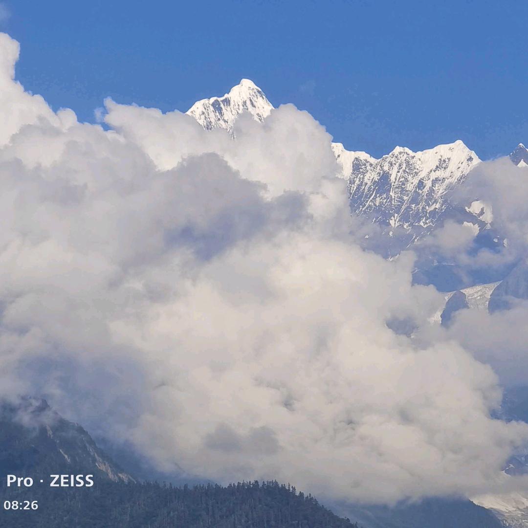 大理——芒康物流