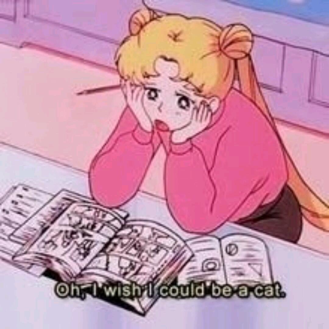 守护火龙果公主的大魔王