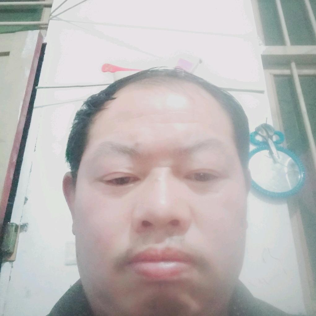 用户发哥