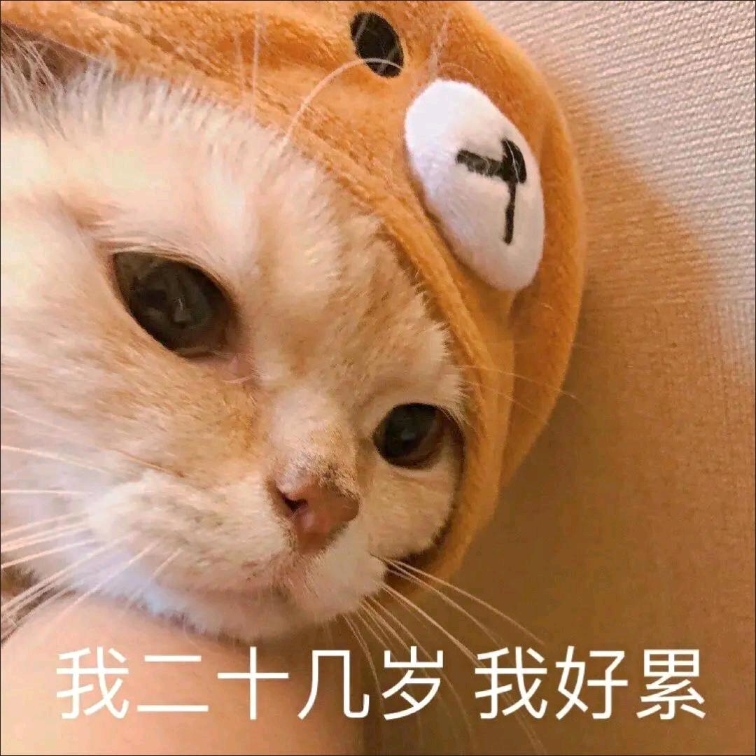 三角洲流川蜂