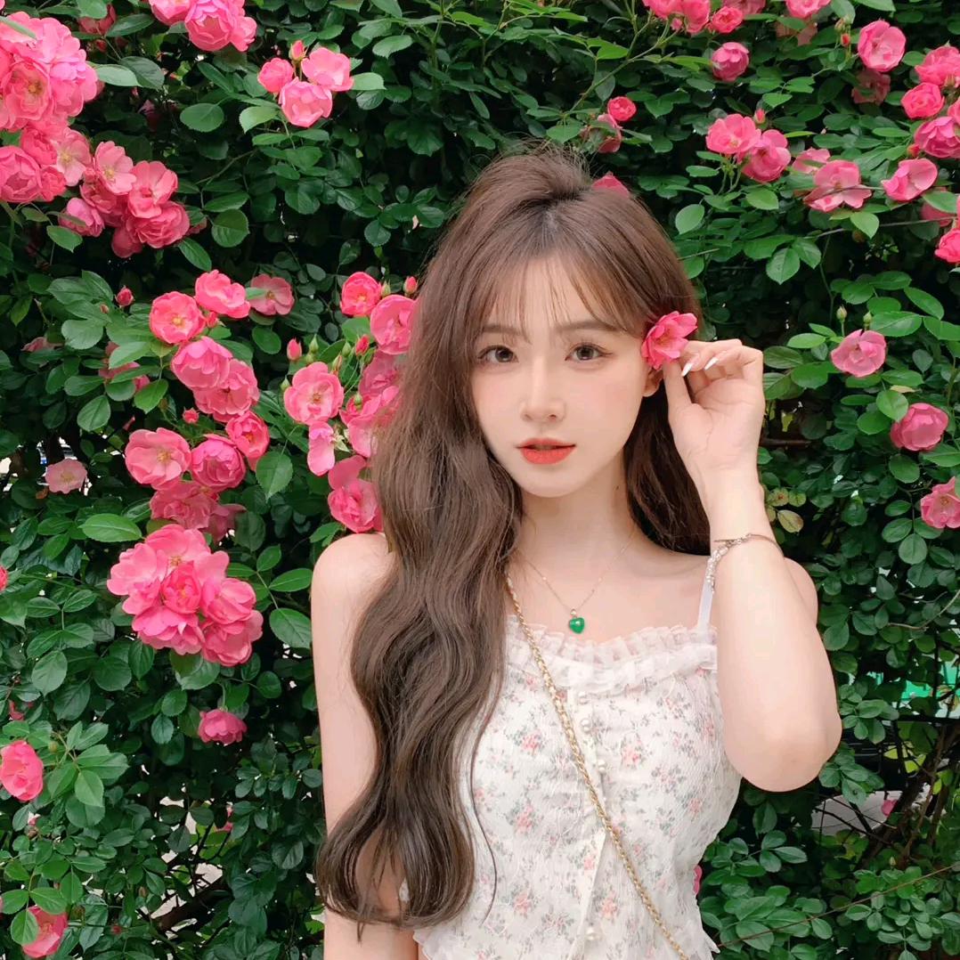 菜菜大盟主