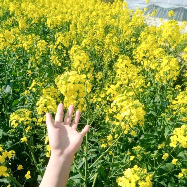 农村萧萧