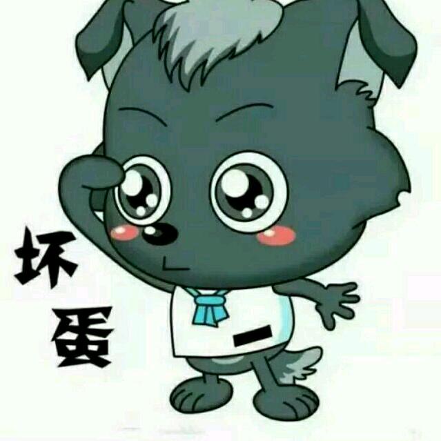 🖤一只大网虫🖤