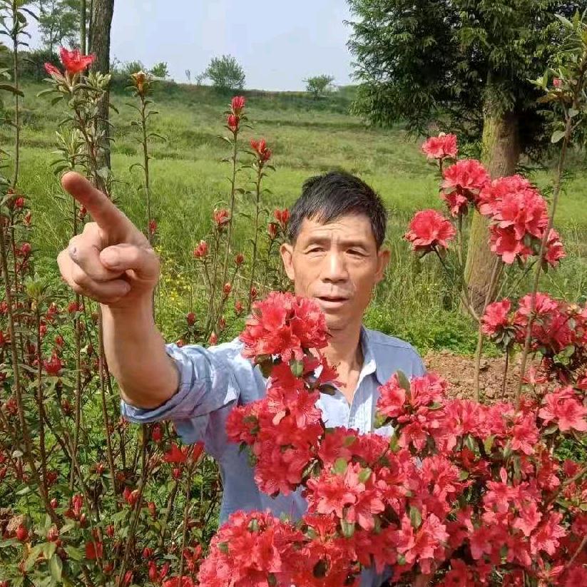 老顽童