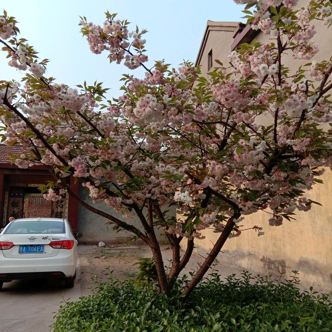 孑然