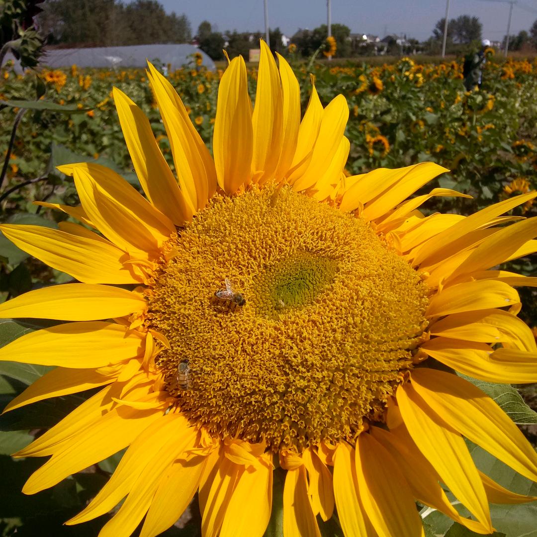 今典门业，防盗门，木门窗帘
