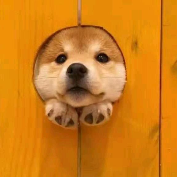 L^L
