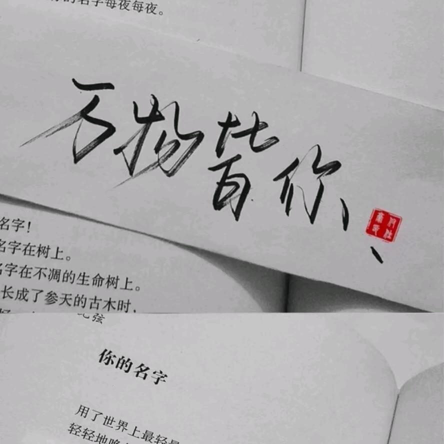 冷月轻吟语无言