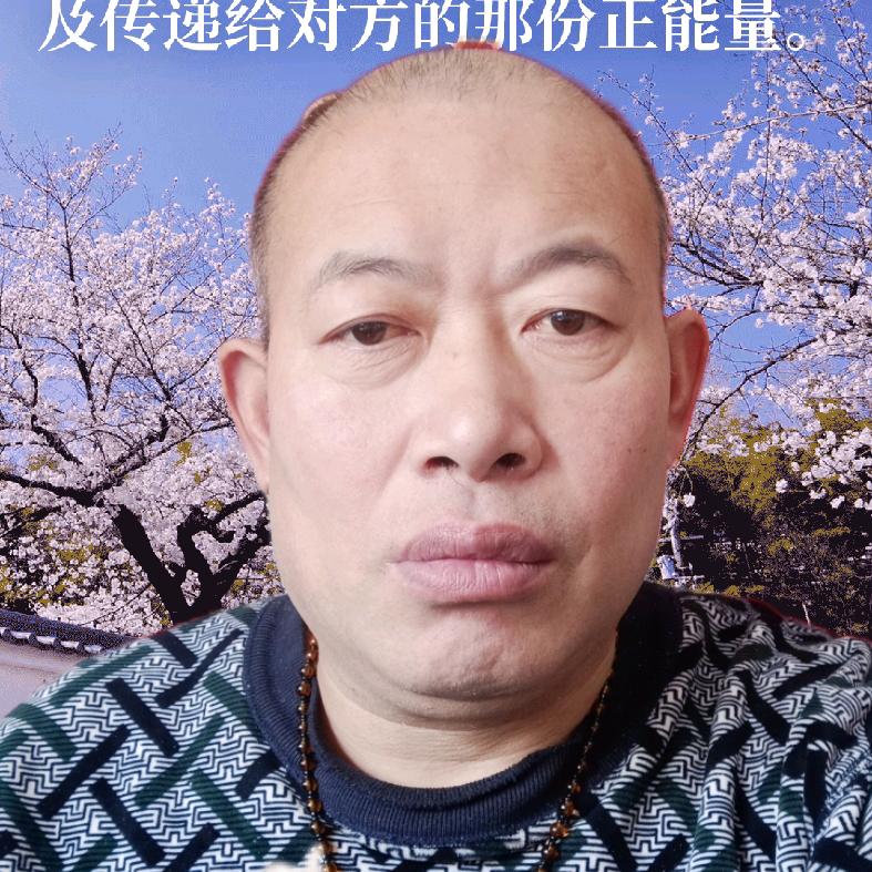 大漠苍狼