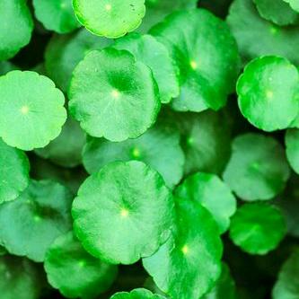 用户8463883941972人间值得