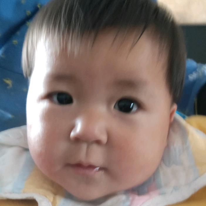 骆驼头像