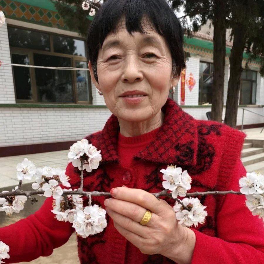 快乐老妈