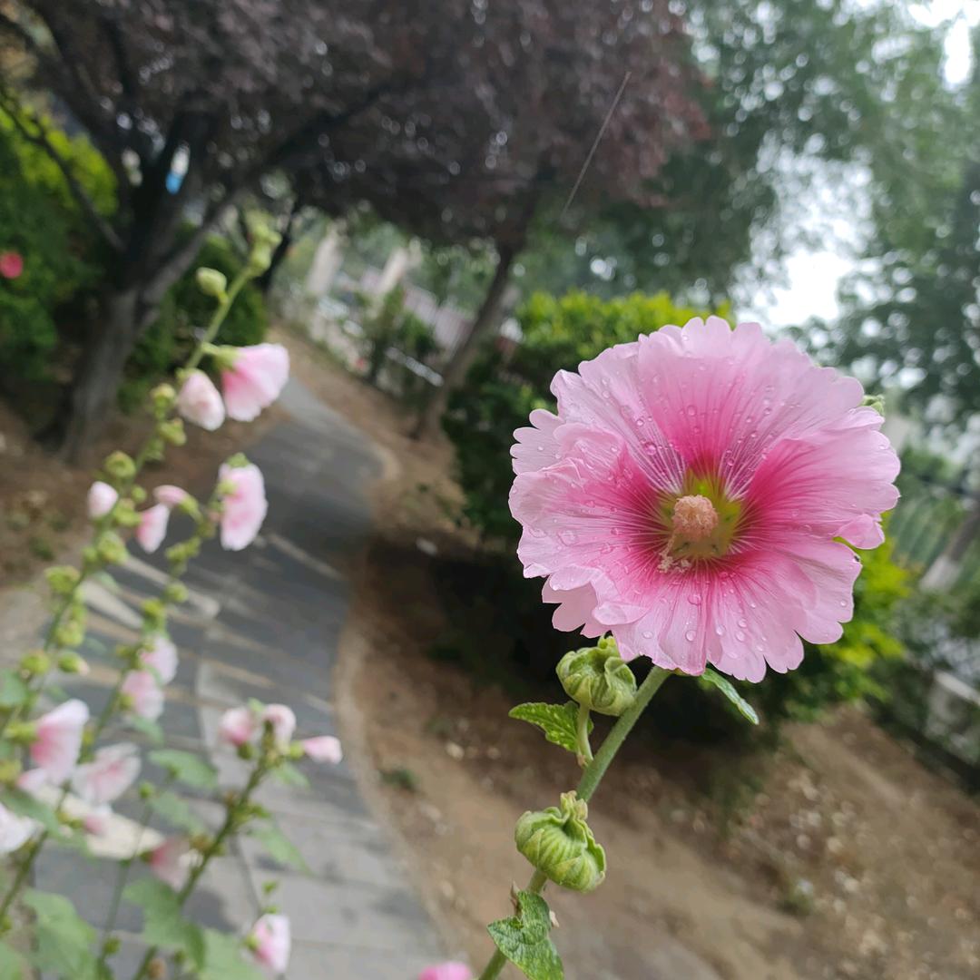 感恩