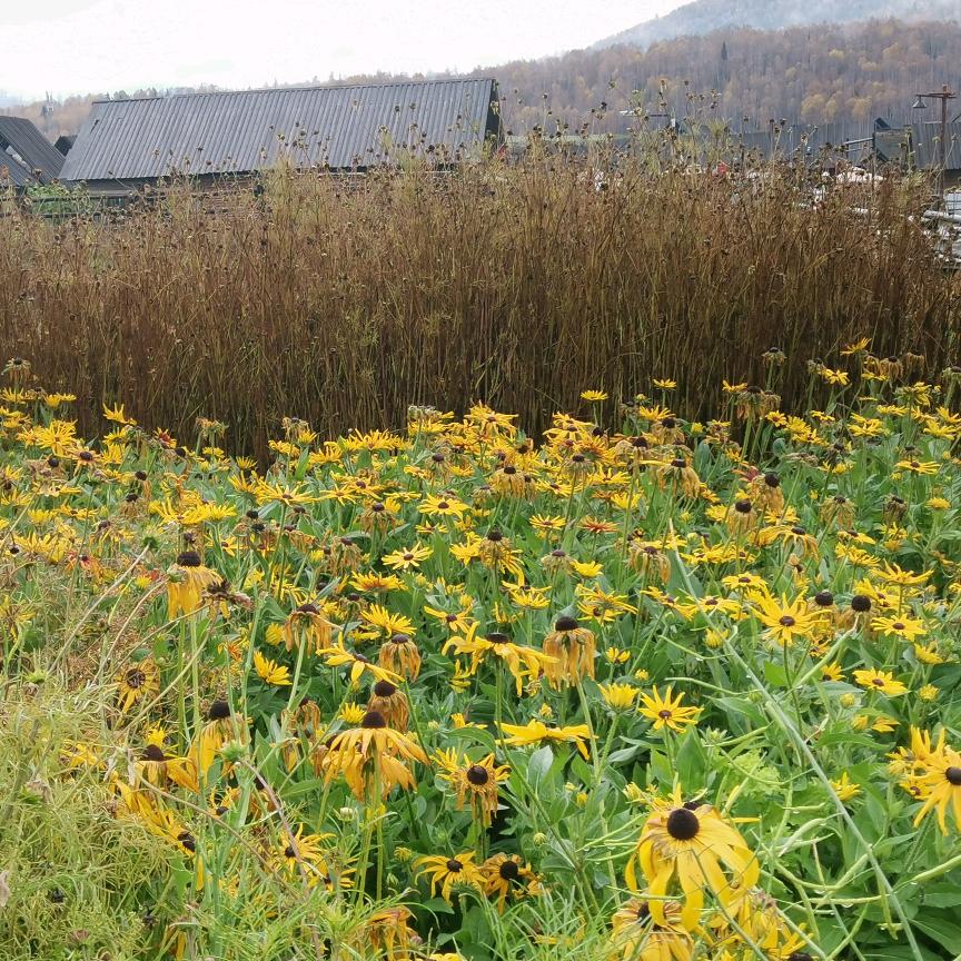 用户5473751201699暖阳